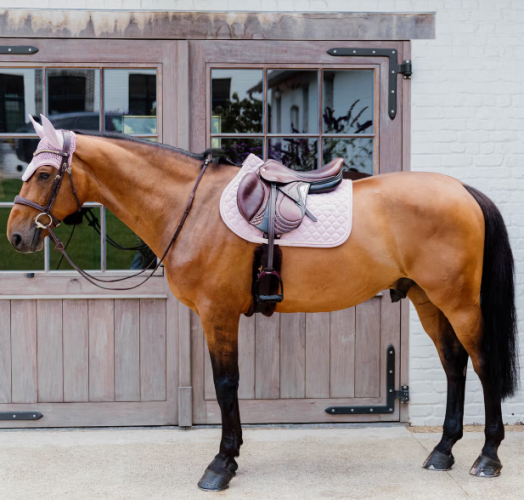 Potnik Onion Quilt Rubber Logo - Kentucky - light rose