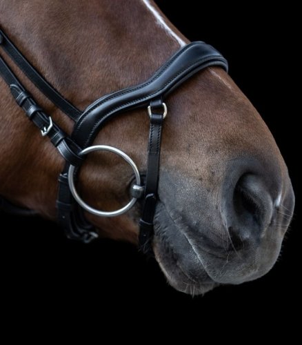 Ogłowie X-Line New Shape II - Waldhausen