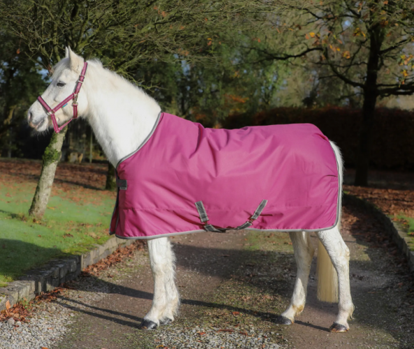 Derka stajenna FREEDOM STABLE 150g - BUCAS - raspberry