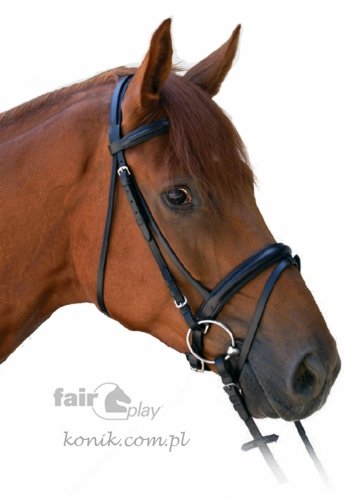 Ogłowie z nachrapnikiem szwedzkim CHEVAL Fair Play