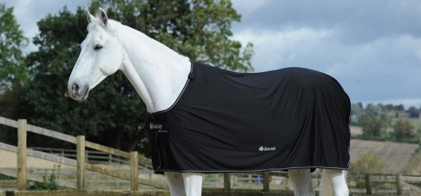Derka osuszająca POWER COOLER - Bucas - black/silver