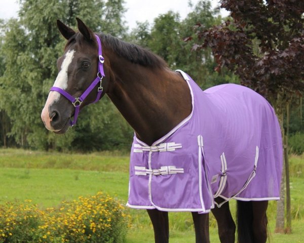 Derka siatkowa COLOR - QHP