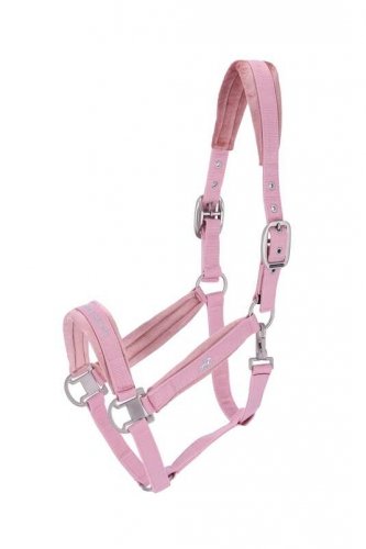 Kantar SOFT VELVET SS25 - Schockemohle - dusty pink