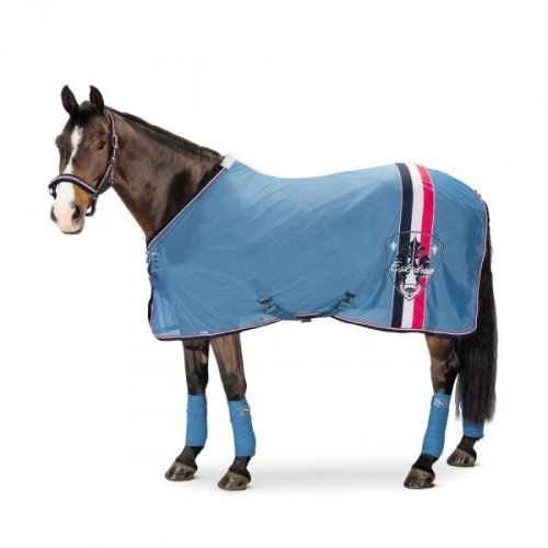 Eskadron Classic Sports Wiosna Lato 2016 Derka siatkowa Eskadron CLASSIC SPORTS wiosna-lato 2016 - skyblue
