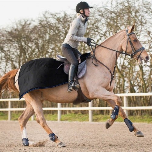 Derka treningowa 250 g AVALANCHE - Horze 