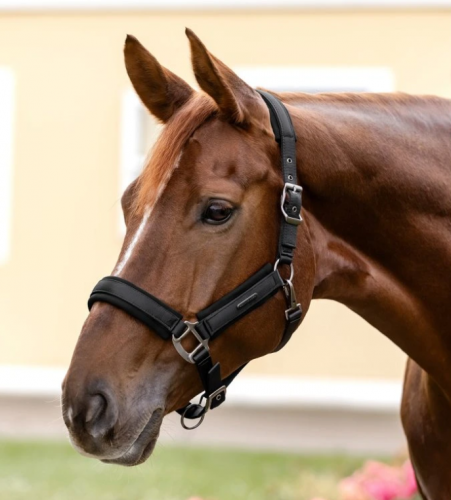 Kantar Soft Touch -- Waldhausen