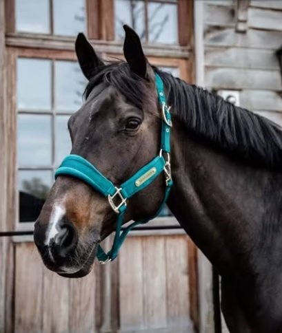 Kantar Velvet - Kentucky - emerald