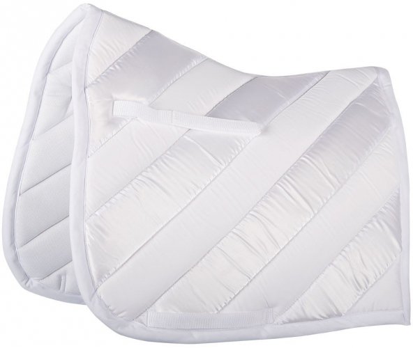 Potnik Blizzard - HARRY'S HORSE 