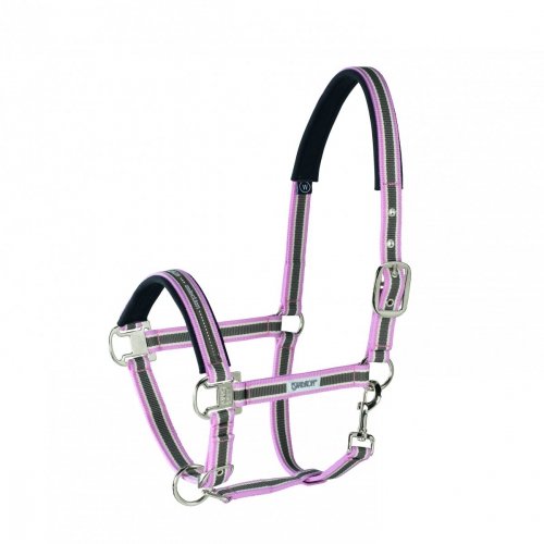 Kantar Eskadron PIN BUCKLE STANDARD - almond/creme/powderrose