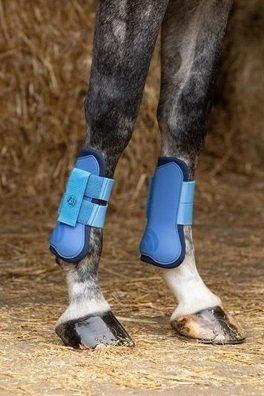 Ochraniacze komplet WI23 - Harry's Horse