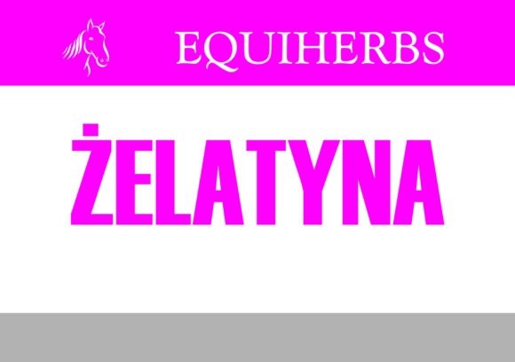 Żelatyna 1 kg - EQUIHERBS