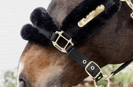 Kantar z futerkiem Soft - Kentucky - black