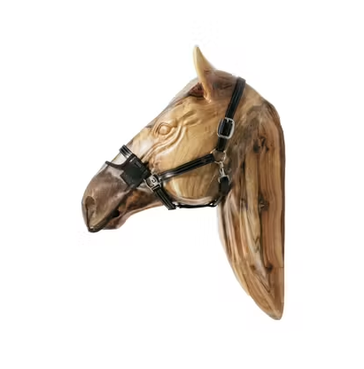 Siatka na nos Anti Fly - Kentucky