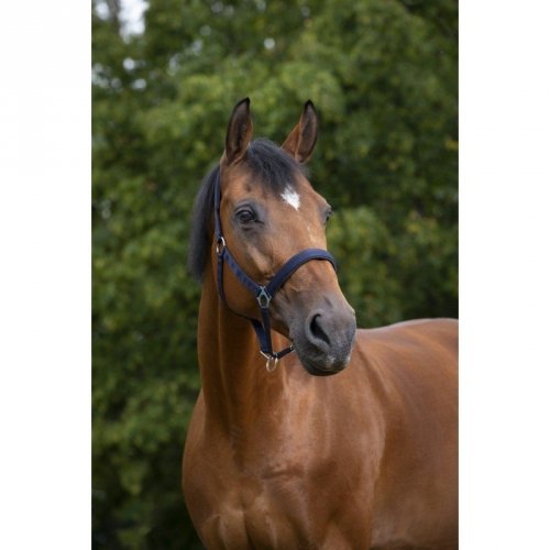 Kantar NYLON - NORTON - granatowy