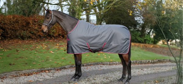 Derka stajenna FREEDOM STABLE 150g - BUCAS - smoke grey