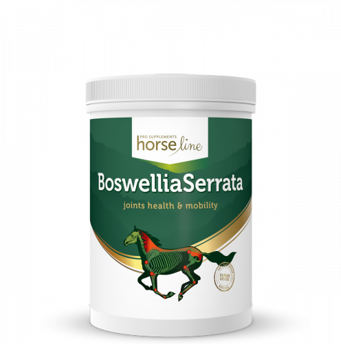 Boswellia Seratta 900g - HorseLine PRO