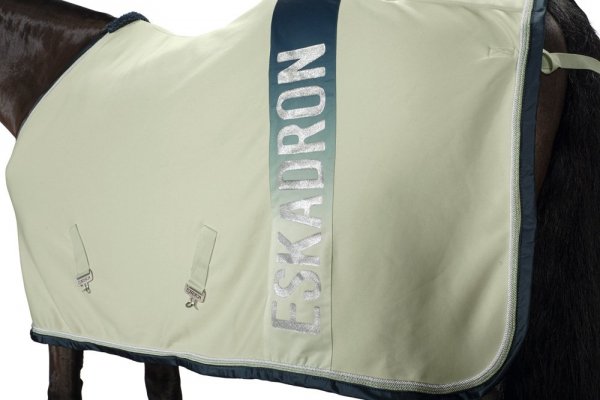 Derka Eskadron JERSEY NEW GENERATION 2018 - spearmint