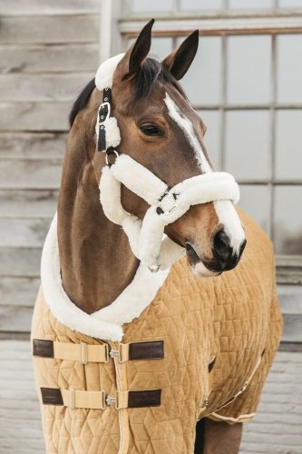 Derka stajenna Show Rug Velvet 160g - Kentucky - mustard 
