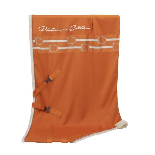 Derka Eskadron JERSEY STRIPE - PLATINUM 2019/2020 - vermillion orange