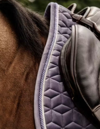 Potnik Velvet - Kentucky - purple