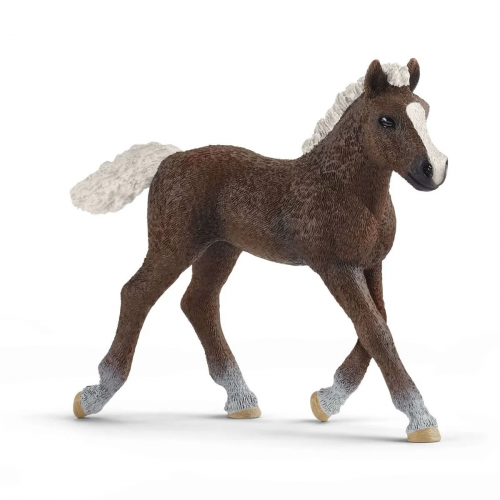 Figurka źrebak rasy szwarcwaldzkiej FARM WORLD - SCHLEICH