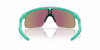 OKULARY DZIECIĘCE OAKLEY® RESISTOR OJ 9010 901019 23