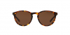 OKULARY POLO RALPH LAUREN PH 4110 513483 50 ROZMIAR M Z POLARYZACJĄ