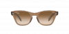 OKULARY RAY-BAN® RB 0707S 664051 53 ROZMIAR M