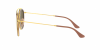 OKULARY RAY-BAN® ROUND RB 3647N 001/7O 51 ROZMIAR M