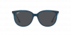 OKULARY RAY-BAN® RB 4378 669487 54 ROZMIAR M