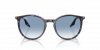 OKULARY RAY-BAN® RB 2204 14303F 51 ROZMIAR M