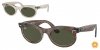 OKULARY RAY-BAN® WAYFARER OVAL RB 2242 138331 53 ROZMIAR M