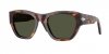 OKULARY PERSOL® PO 0054S 24/31 53 ROZMIAR M