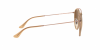 OKULARY RAY-BAN® ROUND RB 3647N 907051 51 ROZMIAR M