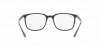OKULARY KOREKCYJNE RAY-BAN® RX 7199 8063 52 ROZMIAR S