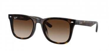 OKULARY RAY-BAN® RB 4420 710/13 65 ROZMIAR L