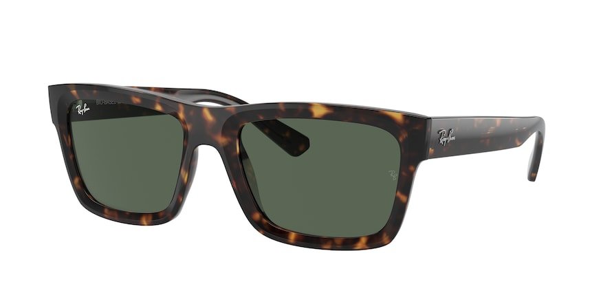 OKULARY RAY-BAN® WARREN RB 4396 135971 54 ROZMIAR M