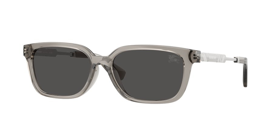 OKULARY BURBERRY BE 4481D 419787 54 ROZMIAR M