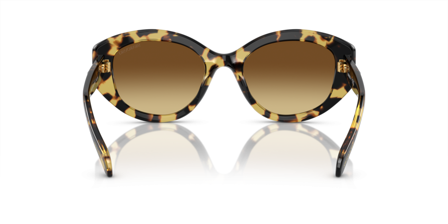 OKULARY SWAROVSKI SK 6005 100913 53 ROZMIAR M
