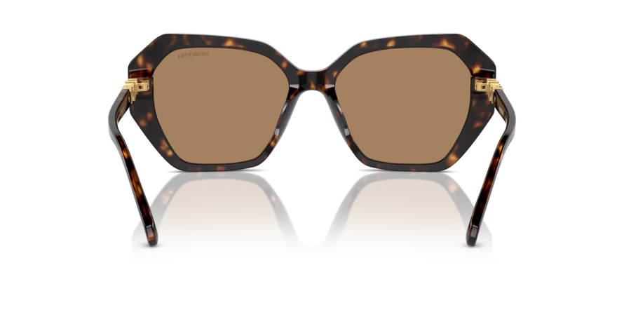 OKULARY FOTOCHROMOWE SWAROVSKI SK 6017 1002M4 56 ROZMIAR M