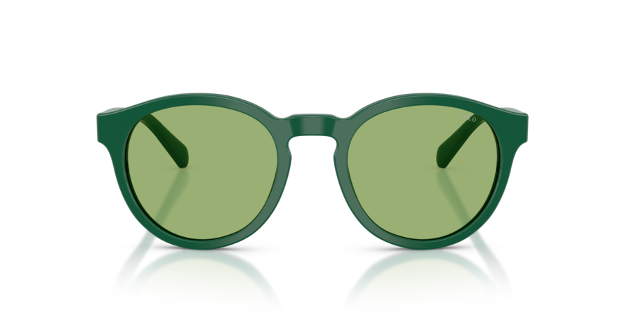 OKULARY POLO RALPH LAUREN PH 4192 6141/2 51 ROZMIAR M