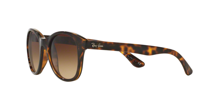 OKULARY RAY-BAN® RB 4203 710/13 51 ROZMIAR M