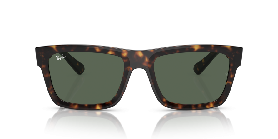 OKULARY RAY-BAN® WARREN RB 4396 135971 54 ROZMIAR M
