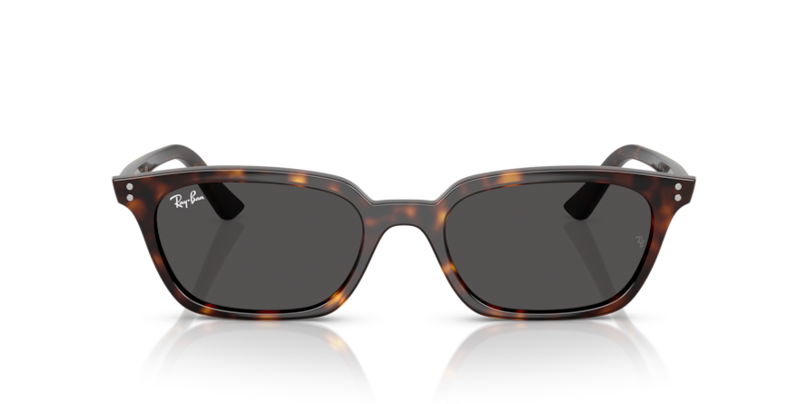 OKULARY RAY-BAN® ZAYA RB 4456 135987 53 ROZMIAR M