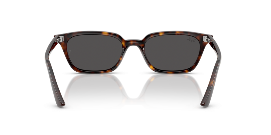 OKULARY RAY-BAN® ZAYA RB 4456 135987 53 ROZMIAR M