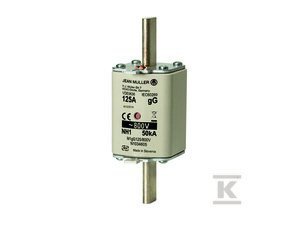 WKŁADKA BEZP NH1 125A 800V AC GG