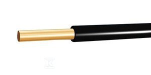 DY 2,5 500V CZARNY H05V-U 100M