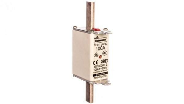 Wkładka bezpiecznikowa NH1 100A gL/gG 500V 100NHG01B