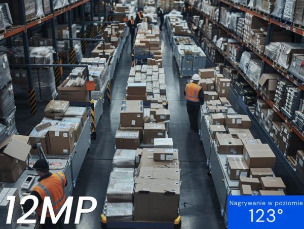 Kamera IP Reolink Professional RP-PCT12M 12MP PoE Kopułowa