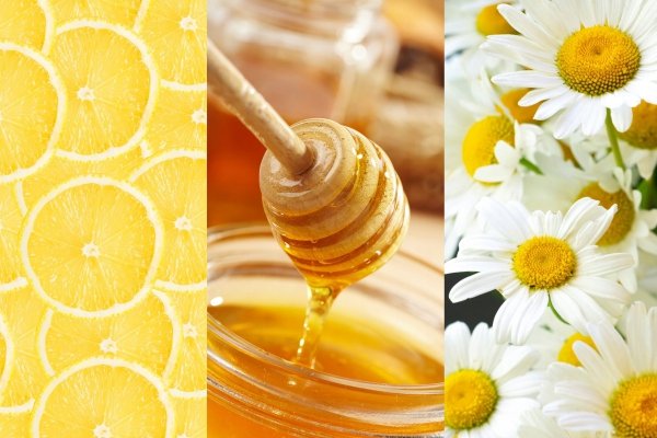 Herbatka owocowo ziołowa Babcia Jagoda Herbata rumianek z miodem i cytryną